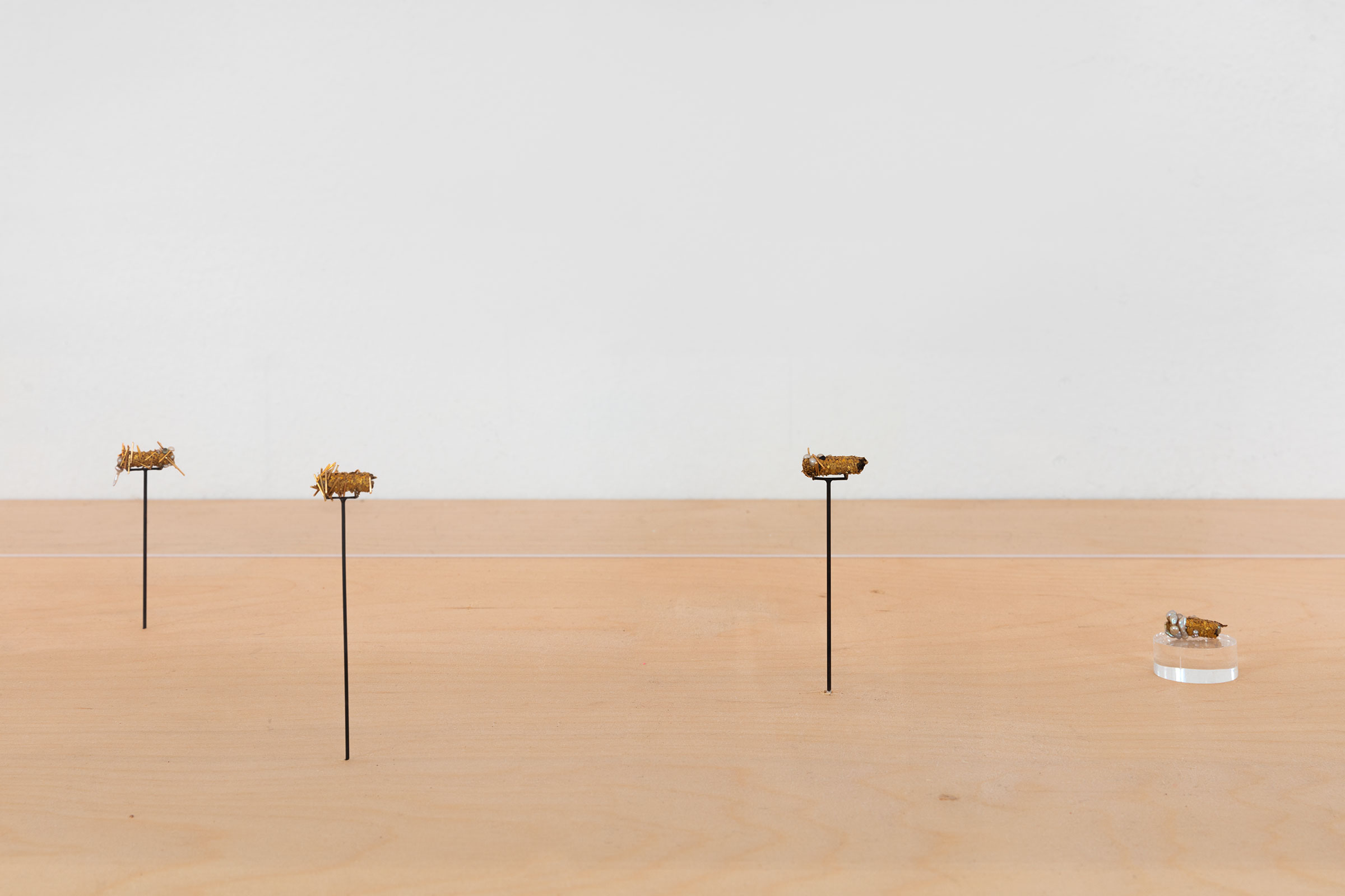 Hubert Duprat, installation view